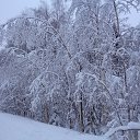 ���� �����, ������, 62 ���� - ��������� 13 ������ 2020 � ������ ������ ��������