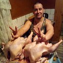 ���� ������, ������, 50 ��� - ��������� 26 ������ 2020