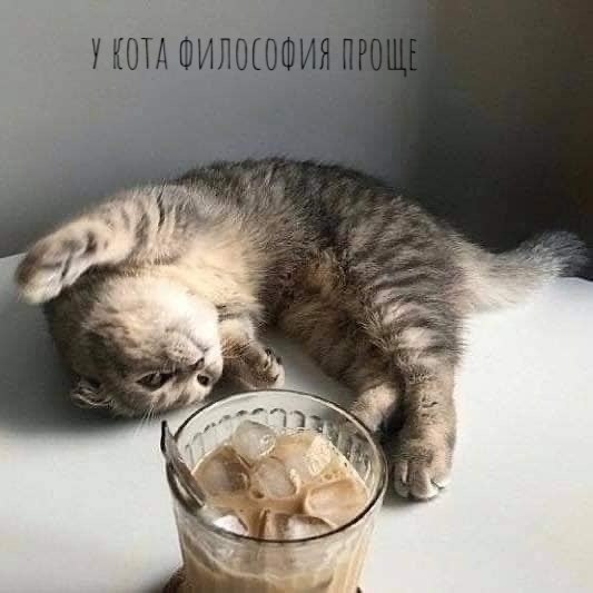 � ��� ���� �����))� - 3