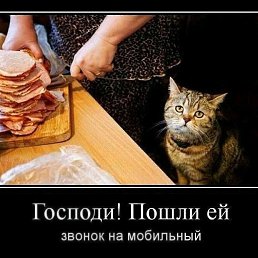 ���� �������, ������, 61 ��� - ��������� 22 ������� 2020