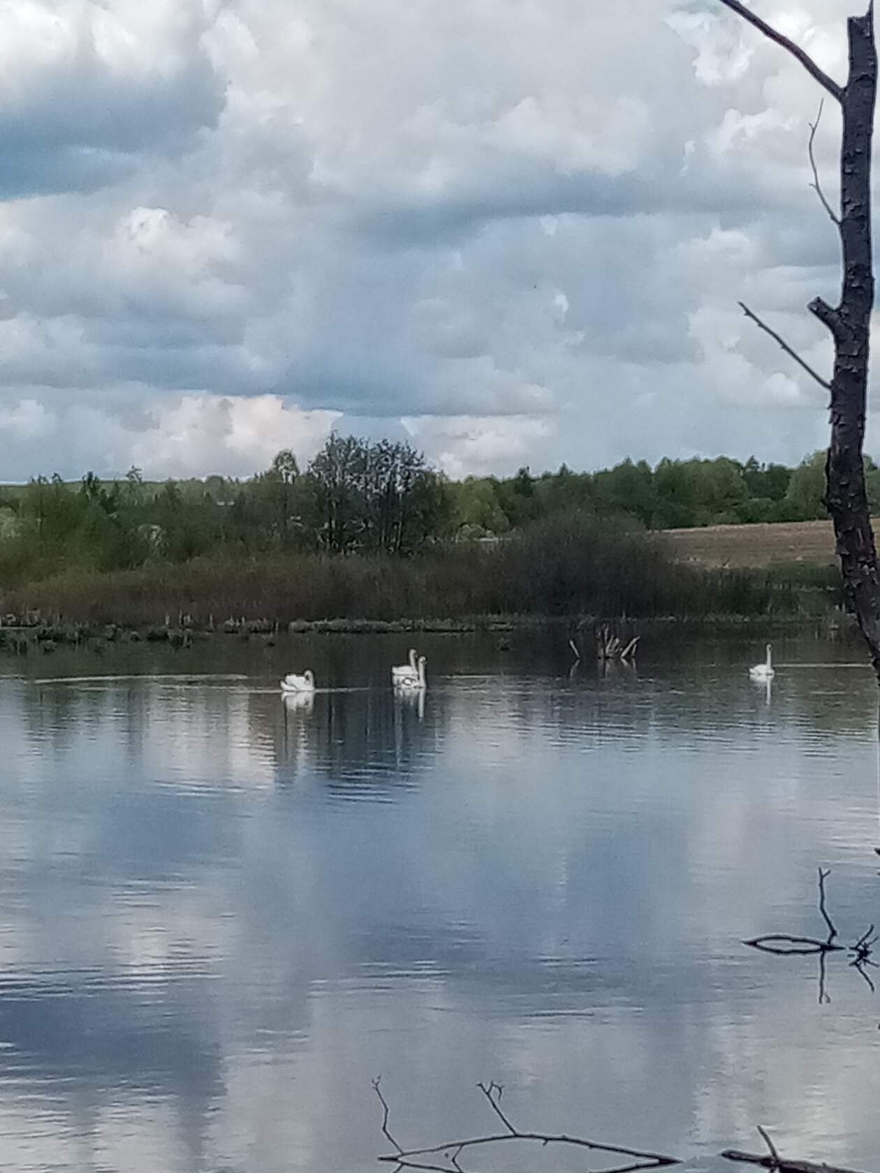  - 17  2020  21:06 - 4