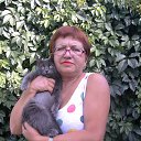 ���� ����, �������, 67 ��� - ��������� 1 ������ 2020 � ������ ���� ����������