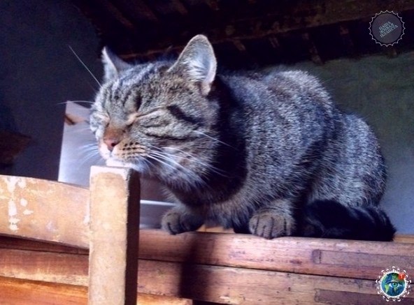   : e  - a  , e   e ! - 6