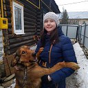 ���� ������, ������ ��������, 72 ���� - ��������� 25 ������ 2020 � ������ ������ ��������