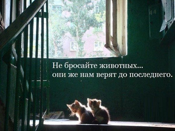 Art & Fun - 15 ������� 2020 � 18:44