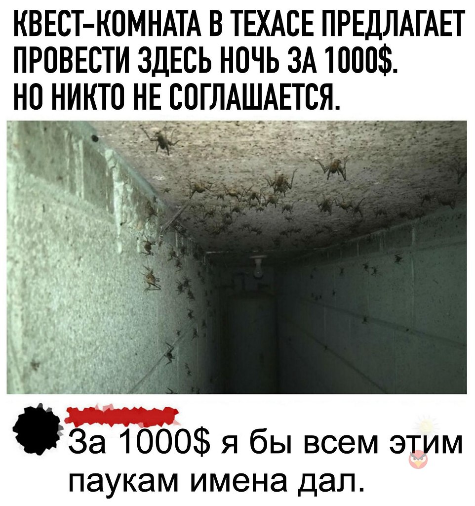         -   ))