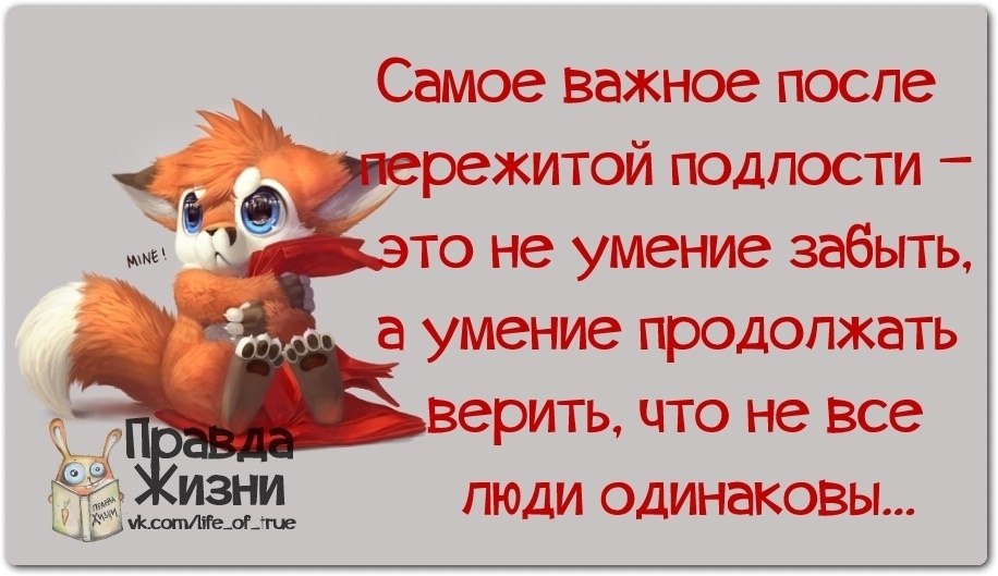 ������ ����� - 18 ������� 2020 � 19:16
