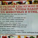 ���� �����, ������ - ��������� 17 ��� 2020 � ������ ��������