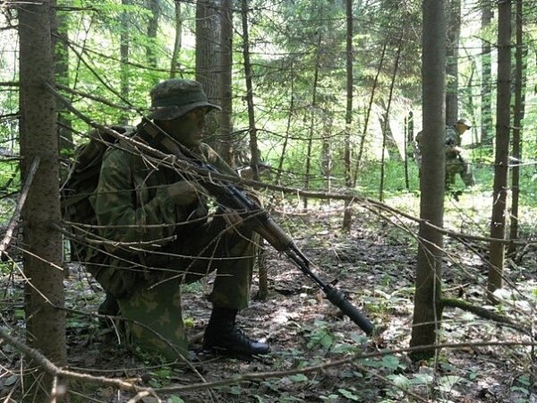 45 отдельный полк специального назначения ВДВ (45 гв. ОП СпН ВДВ ) - 4