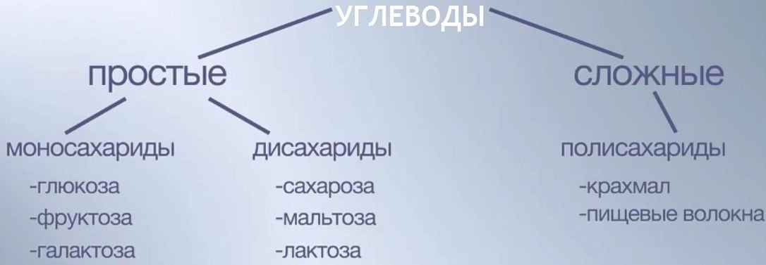 БЫСТРЫЕ УГЛЕВОДЫ И ФИГУРА.Быстрые углеводы имеют очень высокую скорость усвоения из ...