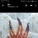���� ����, �����������, 57 ��� - ��������� 17 ���� 2020 � ������ ���� ����������