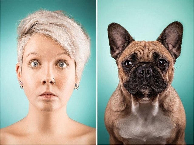 10     ,     .  The Dog People ... - 2