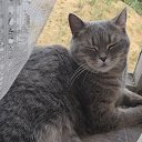 ���� �������� �� ������� ������