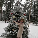 ���� �����, ��������, 61 ��� - ��������� 13 ������ 2020 � ������ ���� ����������