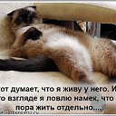 ���� �����, ������������ - ��������� 25 ������ 2020 � ������ ������ ��������