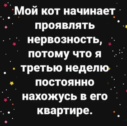  ! - 31  2020  11:02