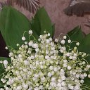 ���� �����, �������� - ��������� 14 ��� 2020 � ������ ���� ����������
