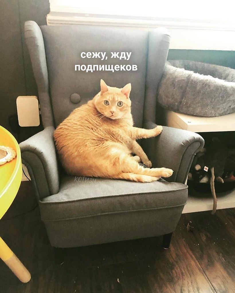 ,     ,   . . : ...
