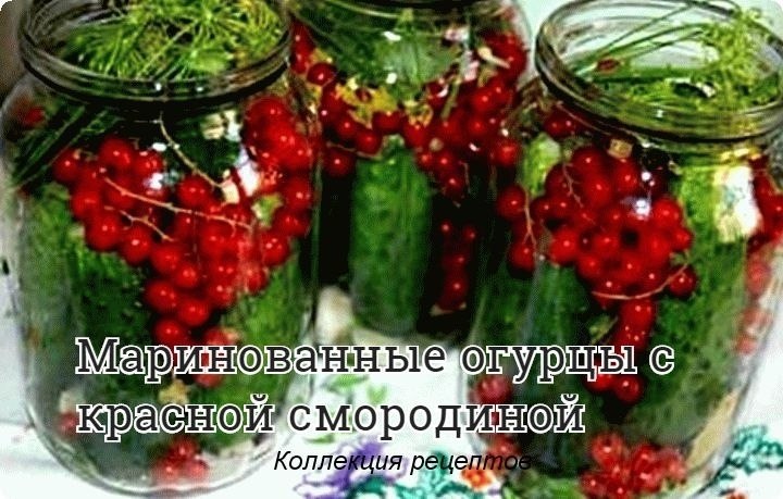 #заготовки #консервация.Огурцы получаются очень пикантные и хрустящие. И очень вкусна маринованная ...
