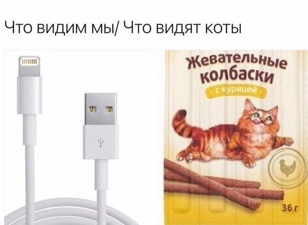    - 20  2020  18:50