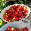 �������� ������� �� ������� ������ ��������