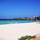 ���� O, ������, 49 ��� - ��������� 20 ��� 2020 � ������ ���� ����������