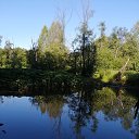 ���� �������, ������������ - ��������� 6 ���� 2020 � ������ ���� ����������