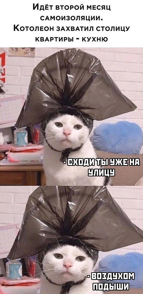  )