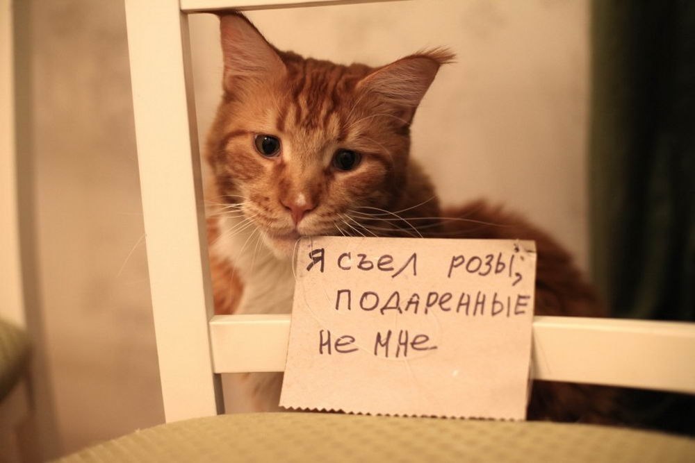 :   ?