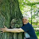 ���� ������, �����-���������, 66 ��� - ��������� 12 ���� 2020 � ������ ���� ����������