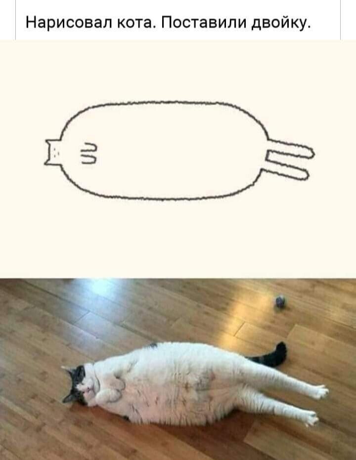   ,   