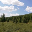 ���� Destroy, �����-���������, 42 ���� - ��������� 14 ����� 2020 � ������ ���� ����������