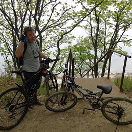 ���� ���������, ������� ������, 44 ���� - ��������� 12 ������� 2020