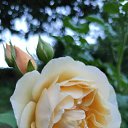 ���� ���������, �������, 60 ��� - ��������� 6 ���� 2020 � ������ ���� ����������