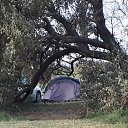 ���� ����, ������, 60 ��� - ��������� 12 ���� 2020 � ������ �������� ����_2019�