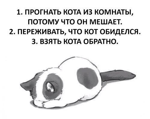    - 6  2020  19:04
