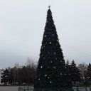 ���� ����, ����������, 37 ��� - ��������� 9 ������ 2020