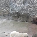 ���� �������, ������ ��������, 48 ��� - ��������� 13 ������ 2020 � ������ ���� ����������