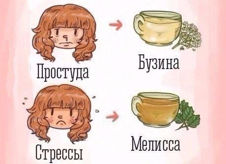 ������ � ���, ������� ����������