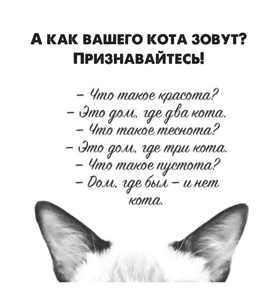 ������ ����� ������� ������ - 17 ���� 2020 � 18:46