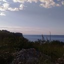 ,,   ,07.05.20. 8.00.    2020