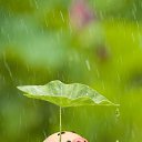���� ����, �����-���������, 55 ��� - ��������� 8 ����� 2020 � ������ �Cute Pig�