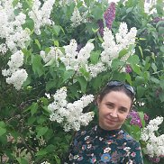 �������, 53 ����, ���������