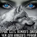 ���� �����, �����, 64 ���� - ��������� 24 ����� 2020 � ������ ������ ��������