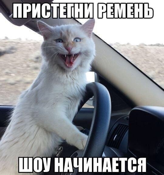    - 23  2020  18:30