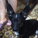 ���� �����, ����������, 38 ��� - ��������� 21 ���� 2020