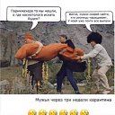 ���� �����, �����-��������, 53 ���� - ��������� 11 ������ 2020 � ������ ���� ����������