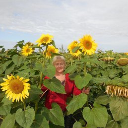 ����, ������, 74 ����