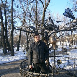 ���������, ����������