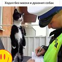 ���� Liudmila, �������, 70 ��� - ��������� 23 ���� 2020 � ������ ������ ��������